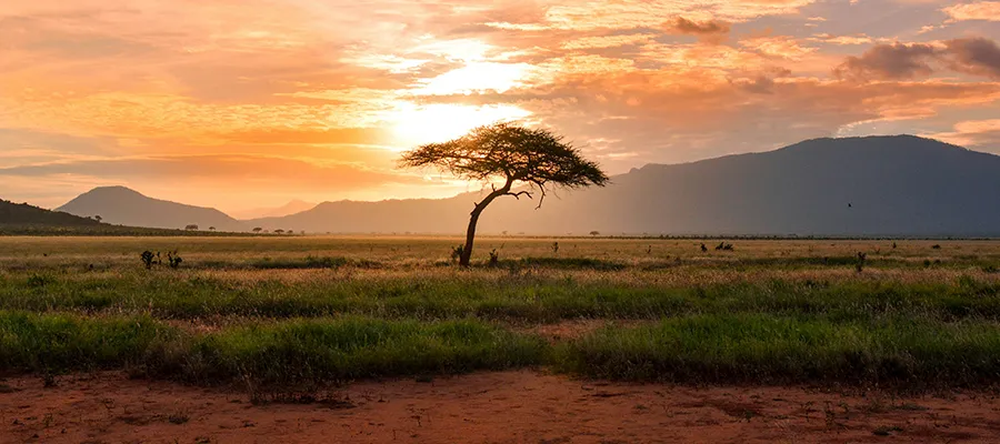 kenya_4